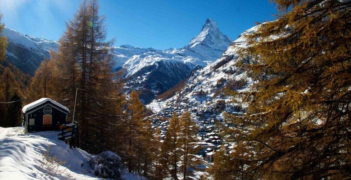 Chalet à louer à Zermatt