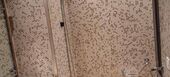 Apartamento en alquiler en St. Moritz