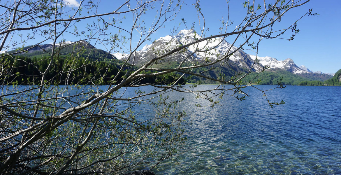 Chalet en alquiler en St Moritz 