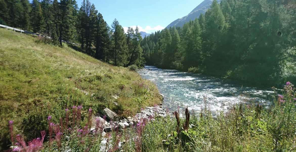 Chalet en alquiler en St Moritz 