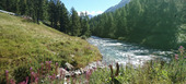 Chalet en alquiler en St Moritz 