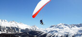 Delta Hang-glider Paraglider